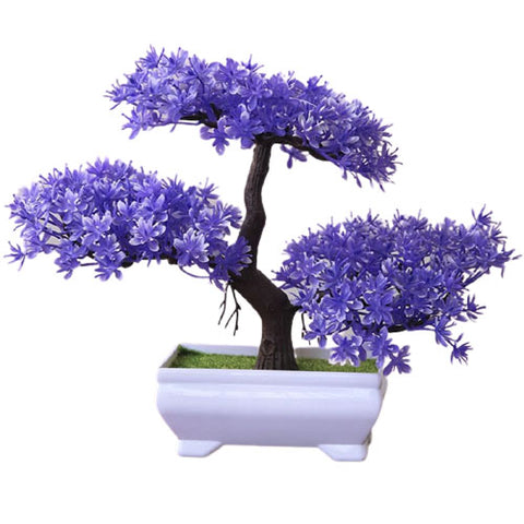 Arbuste à Fleurs Violettes