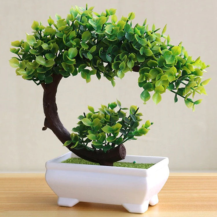http://jardin-eternel.fr/cdn/shop/products/petit-arbre-bonsai_1200x1200.jpg?v=1603101738