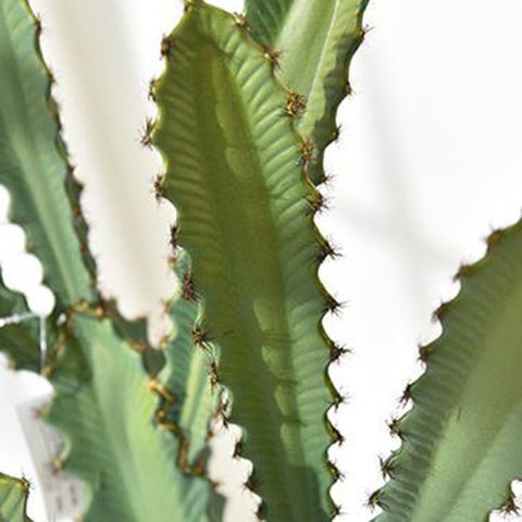 plante grasse artificielle cactus