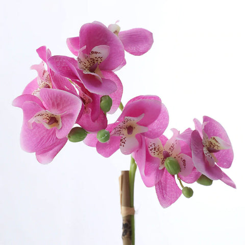 plante orchidee artificielle