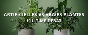 Plantes Artificielles vs Vraies Plantes : L'Ultime Débat