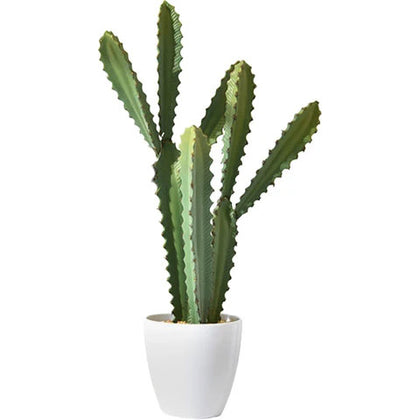 cactus artificiel