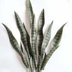 agave artificiel