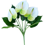 anthurium bouquet