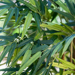 arbre bambou artificiel