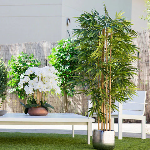 Plante artificielle d'intérieur haie de Bambou Japonais sur