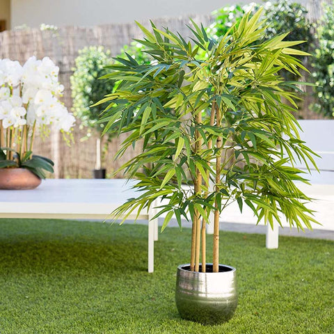 Bambou Artificiel, Jardin Éternel
