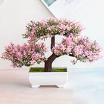 bonsai cerisier du japon