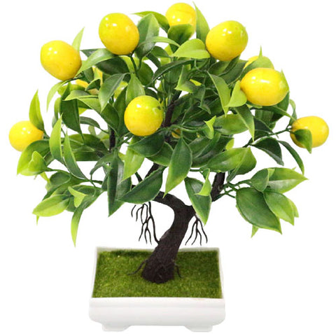 bonsai citronnier