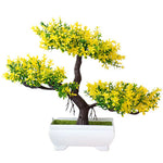 bonsai feuille jaune