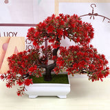 bonsai feuille rouge