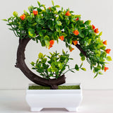 bonsai flamboyant