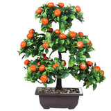 bonsai oranger