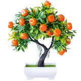 bonsai oranger