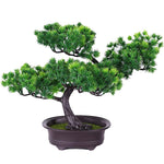 bonsai pin