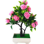 bonsai rosier d'intérieur