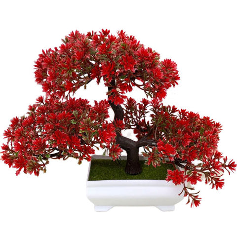 bonsai rouge