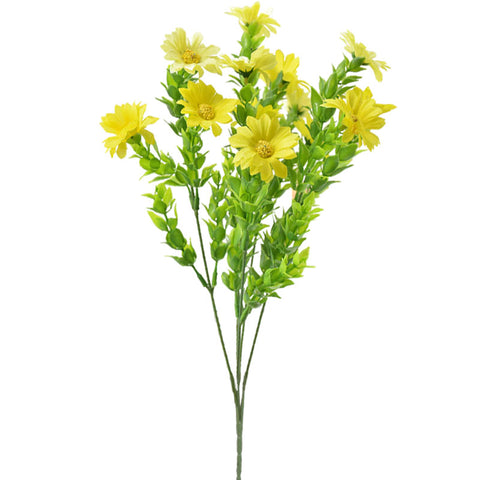 bouquet de marguerite jaune
