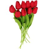 bouquet de tulipe rouge