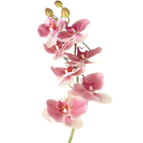 branche d orchidée artificielle pas cher