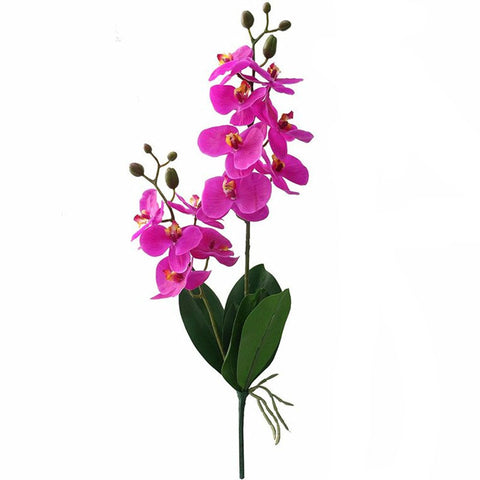 branche orchidée artificielle