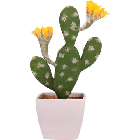 cactus à fleurs jaunes