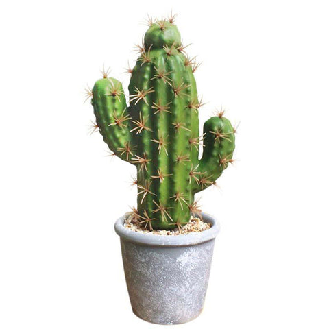 cactus artificiel exterieur
