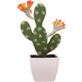 cactus avec fleur orange