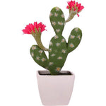 cactus avec fleur rose