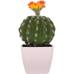 cactus de bureau