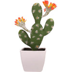 cactus fleur orange
