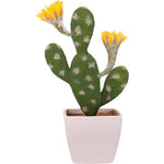 cactus fleurs jaunes
