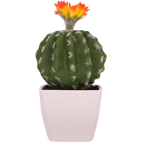cactus pour bureau
