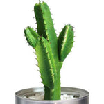 Cactus Cereus Artificiel
