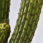 décoration cactus artificiel