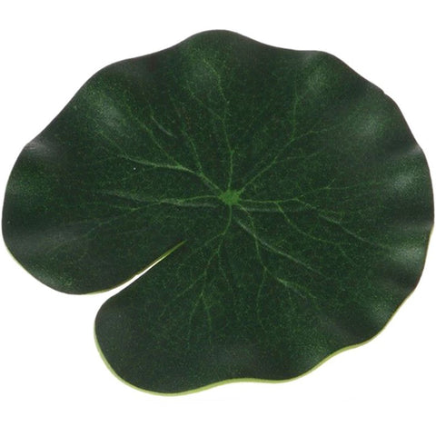 feuille de lotus vert acheter