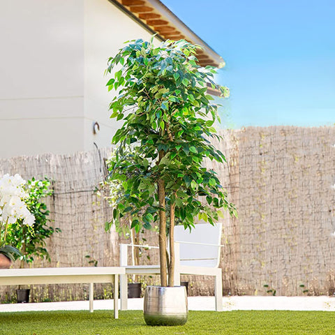 Ficus artificiel benjamina lianes grandes feuilles . . . . . 150 à