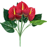 fleur anthurium rouge