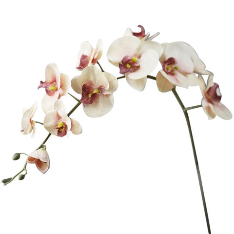 fleur artificielle orchidée