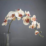 fleur d orchidée artificielle