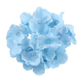fleur hortensia bleu