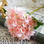 fleur hortensia rose