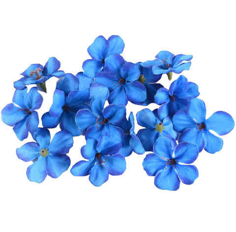 fleur orchidée bleu