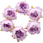 fleur pivoine violette
