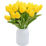 fleurs tulipes jaunes