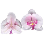 Fleurs d'Orchidée pour Mariage