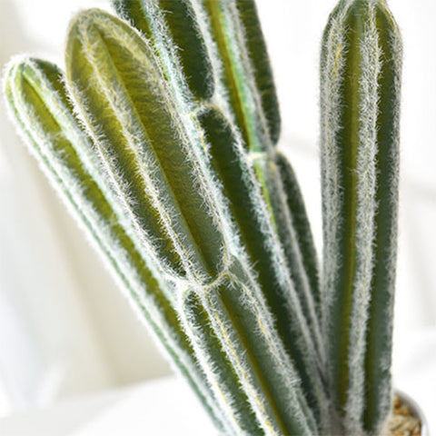 grand cactus artificiel
