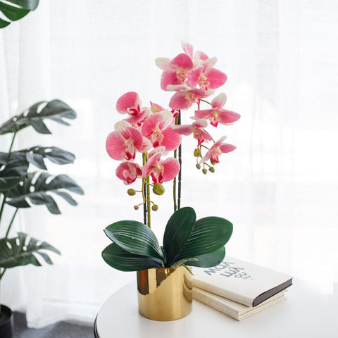 Plante artificielle orchidée sur une base naturelle Couleur crème