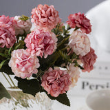 hortensia rose et blanc