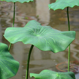 lotus artificiel